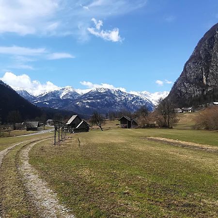 Apartments & Rooms Stare Bohinj Exterior foto