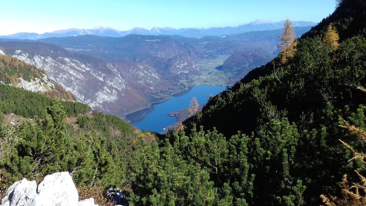 Apartments & Rooms Stare Bohinj Exterior foto