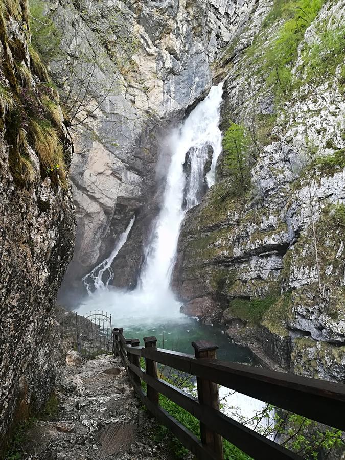 Apartments & Rooms Stare Bohinj Exterior foto